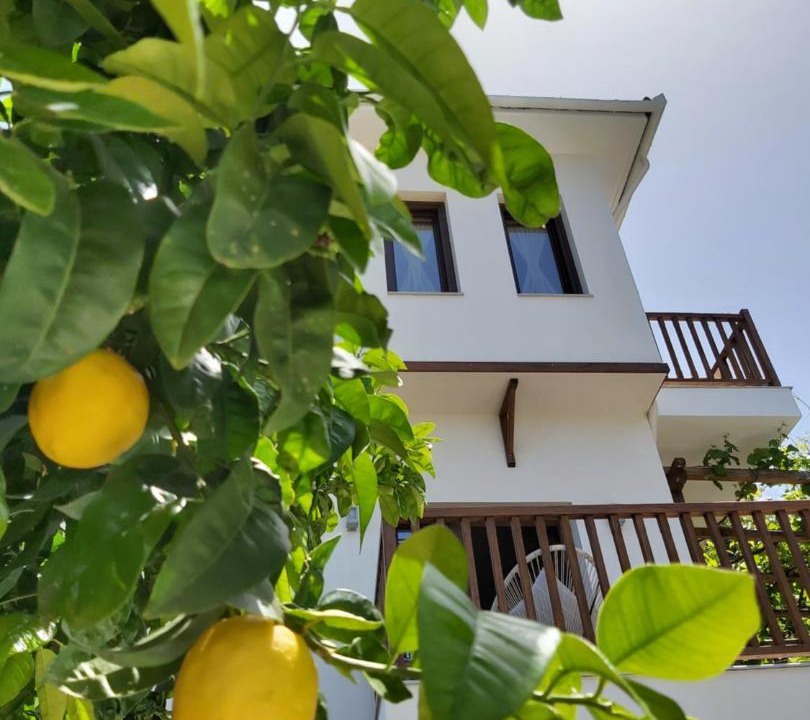 Photo of Others in Agios Ioannis