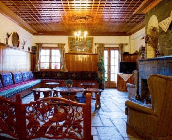 Photo of Others in Metsovo