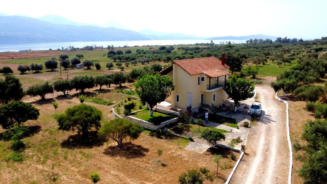 Photo of Others in Agios Dimitrios