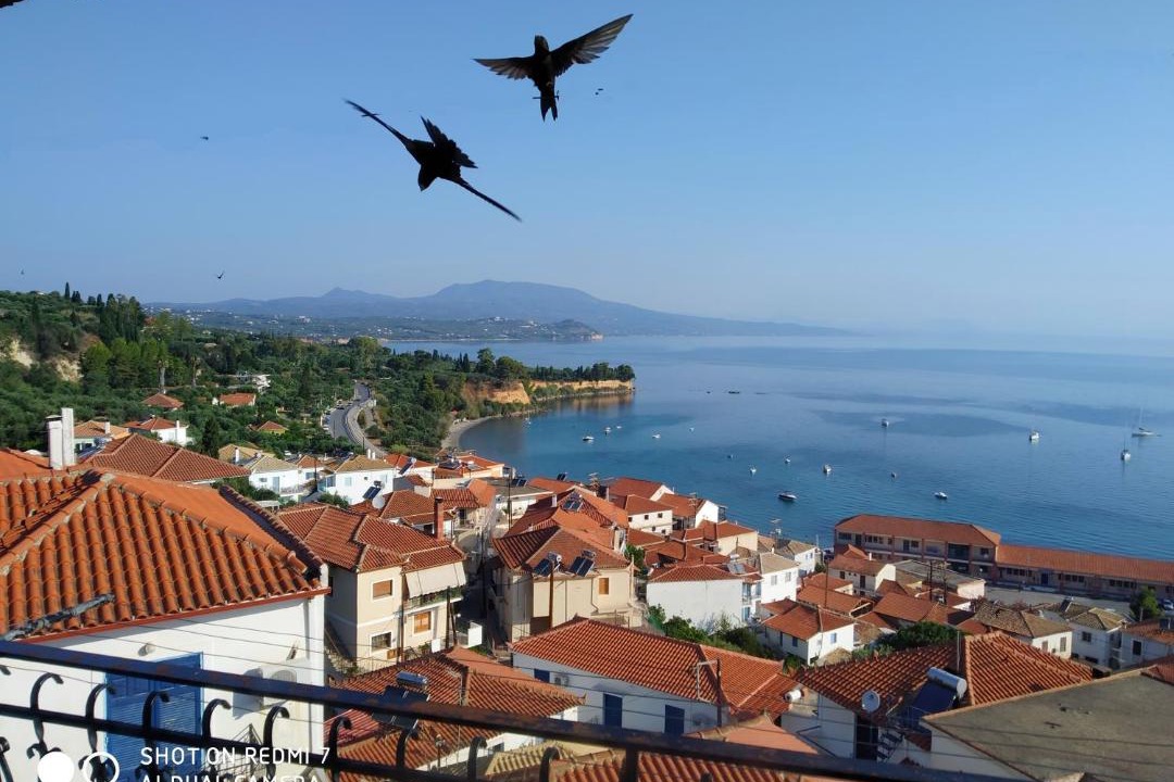 Photo of Others in Koroni