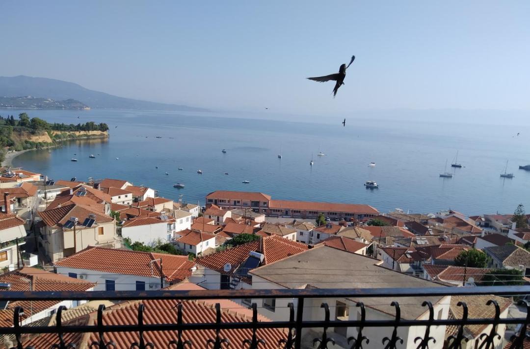 Photo of Others in Koroni