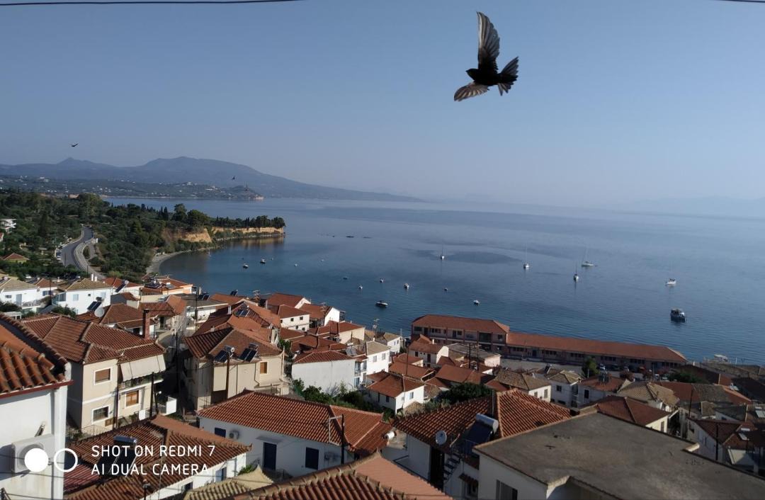 Photo of Others in Koroni
