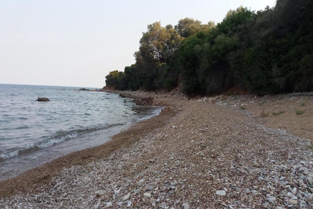 Photo of Others in Messini