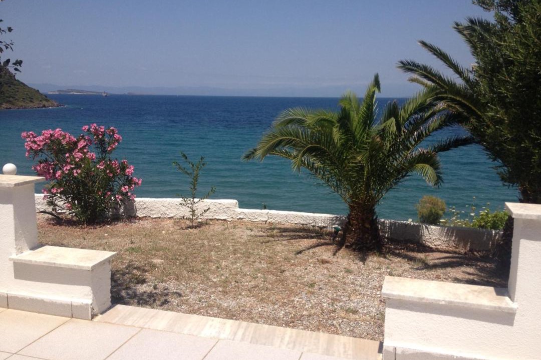 Photo of Others in Lesbos