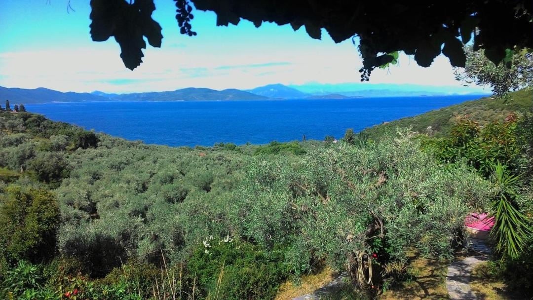 Photo of Others in South Pelion