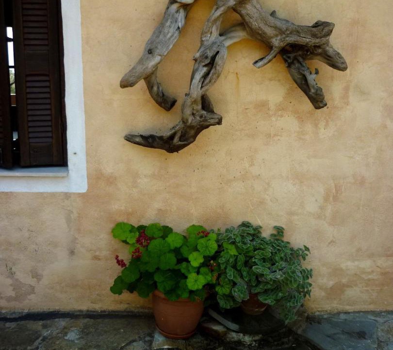 Photo of Others in South Pelion