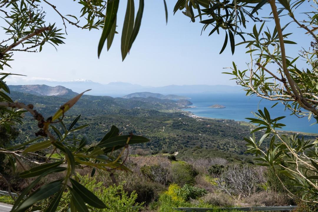 Photo of Outdoor in Mirsini