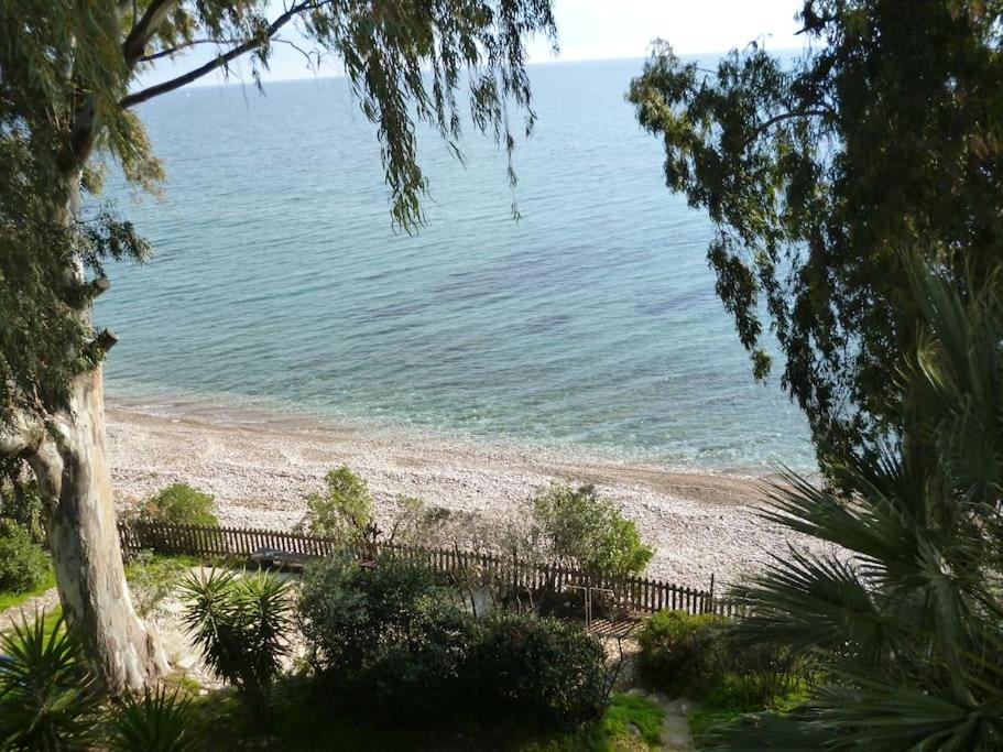 Photo of Outdoor in Petalidi