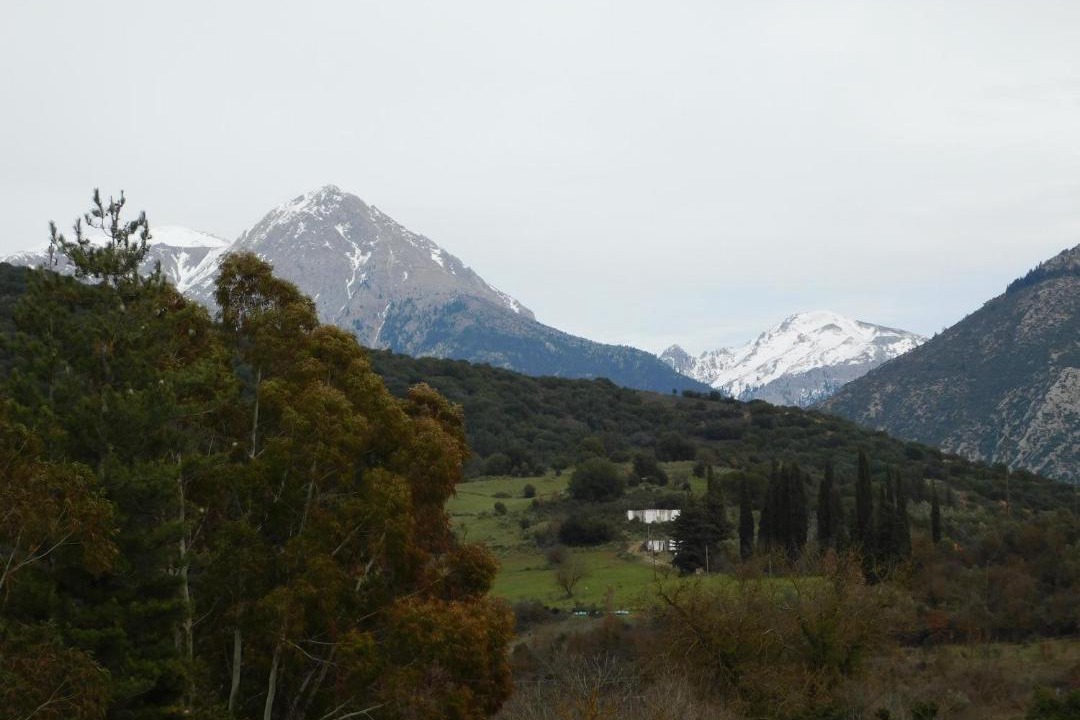 Photo of Others in Klitoria
