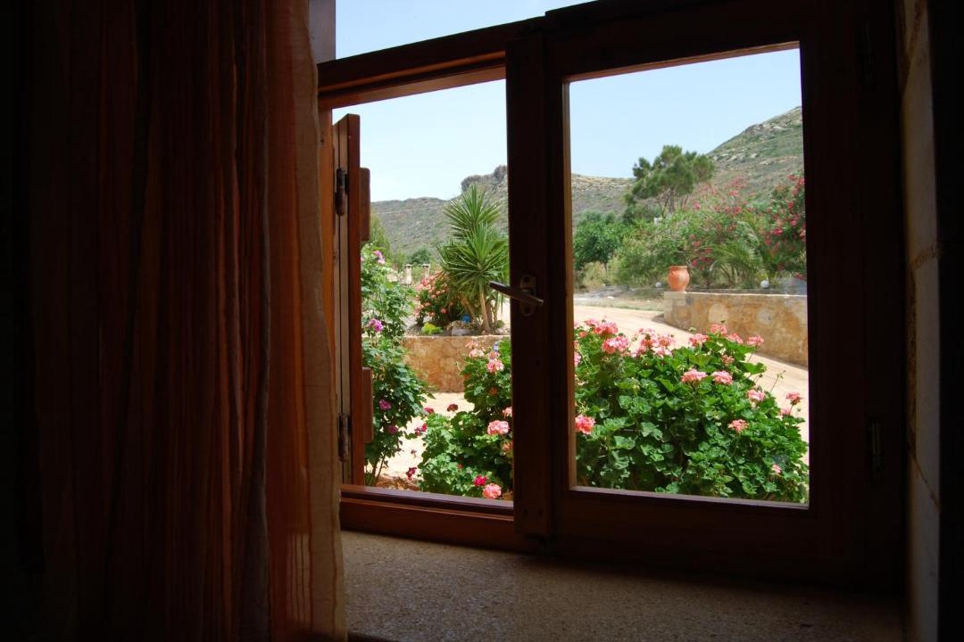 Photo of Others in Falassarna