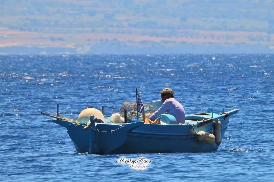 Photo of Others in Panormos