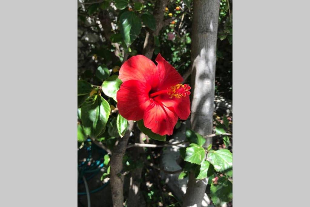 Photo of Others in East Mani