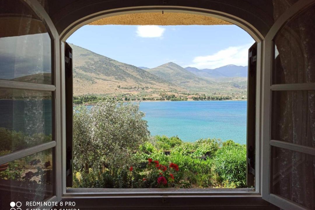 Photo of Others in Galaxidi