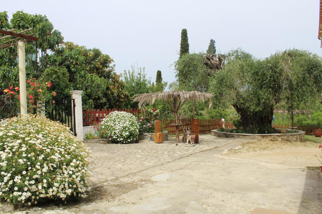 Photo of Others in Termenades