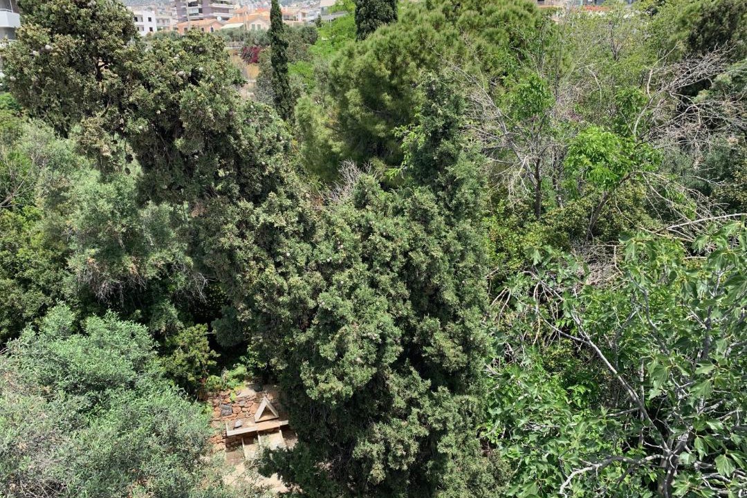Photo of Others in Voula