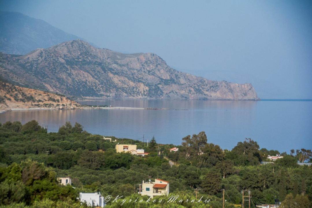 Photo of Others in Palaiochora