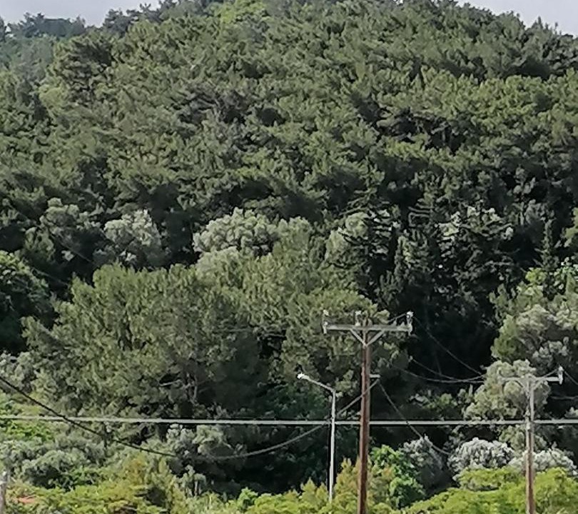 Photo of Outdoor in Kokkari