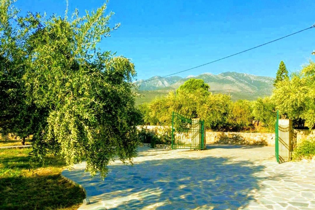 Photo of Others in Riglia