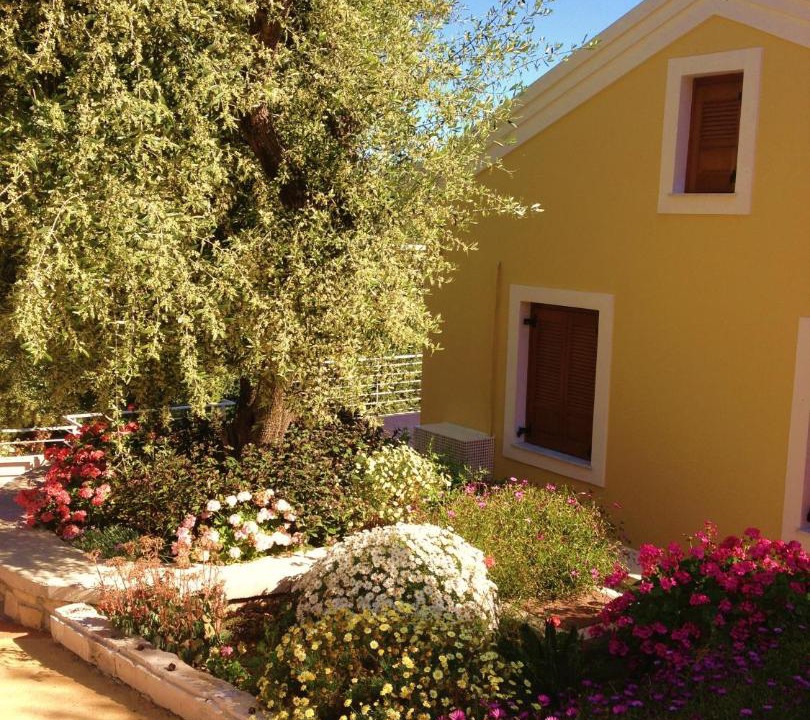 Photo of Others in Platrithias