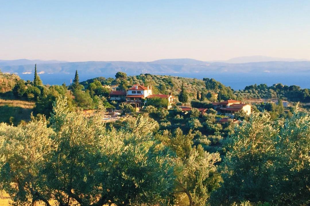 Photo of Others in Agios Mamas