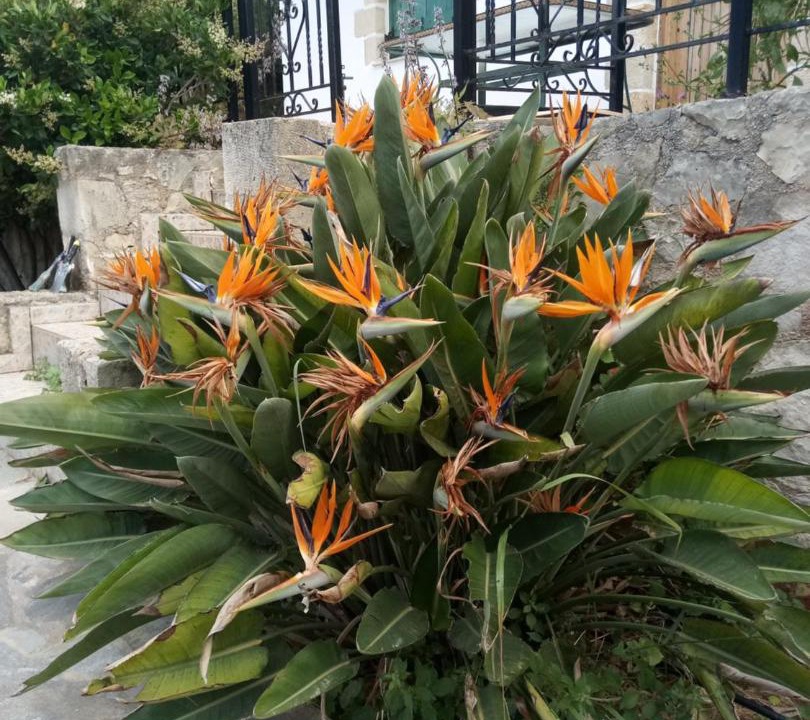 Photo of Others in Kalamion