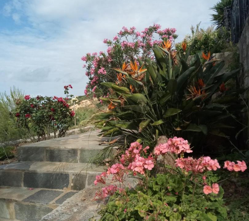 Photo of Others in Kalamion