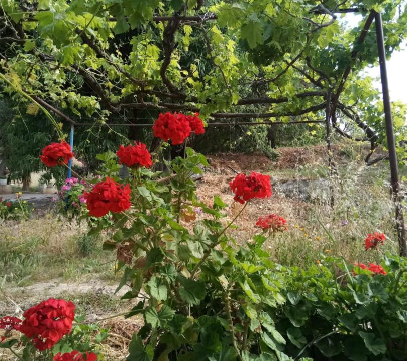 Photo of Outdoor in Kalamion