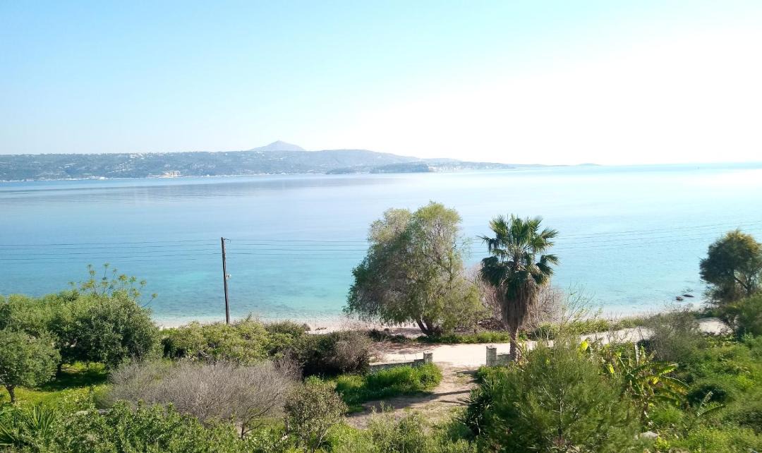 Photo of Others in Kalamion