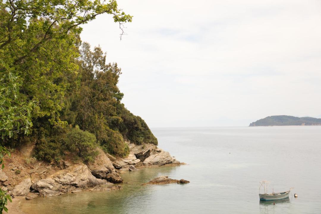 Photo of Outdoor in Skiathos Town