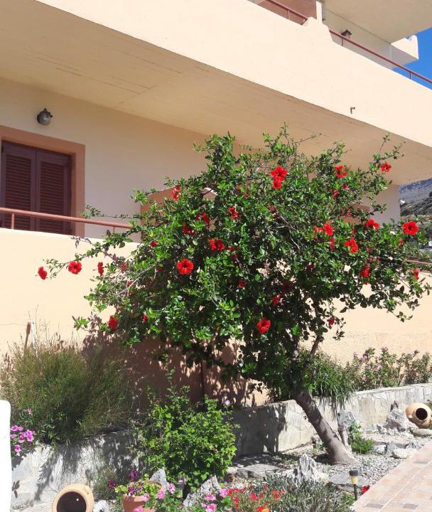 Photo of Buildings in Agios Vasileios
