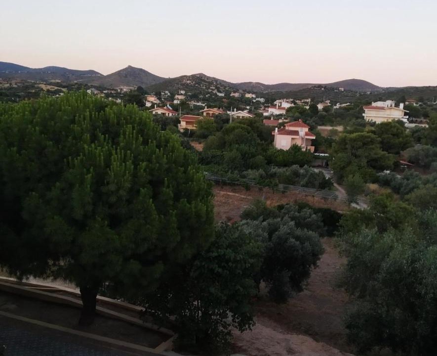 Photo of Others in Palaia Fokaia