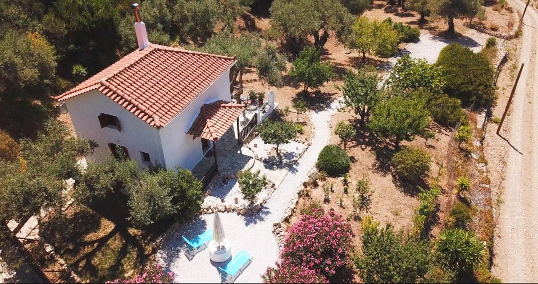 Photo of Buildings in Stafylos