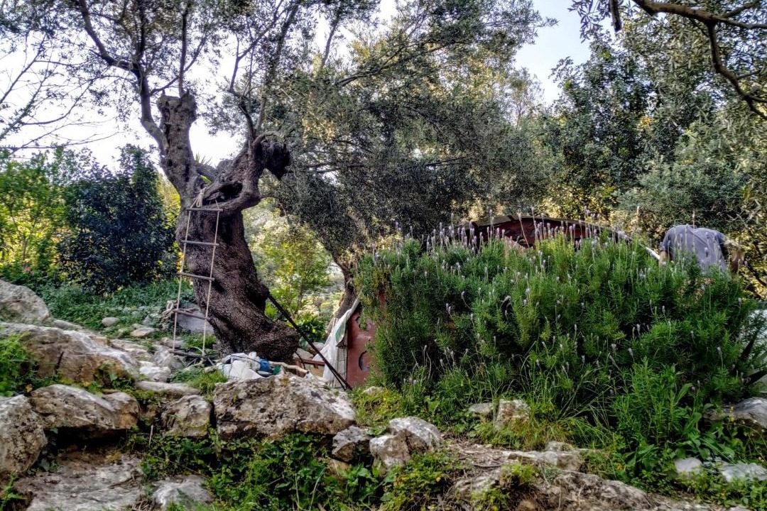 Photo of Outdoor in Agios Vasileios