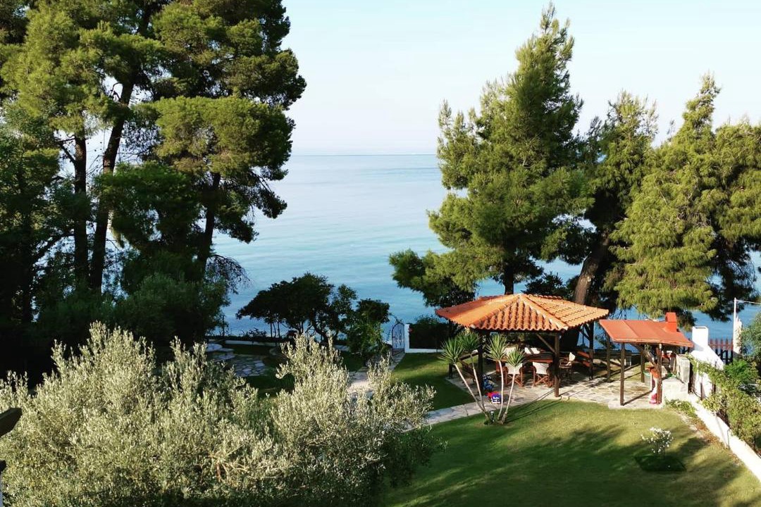 Photo of Others in Elia Nikitis