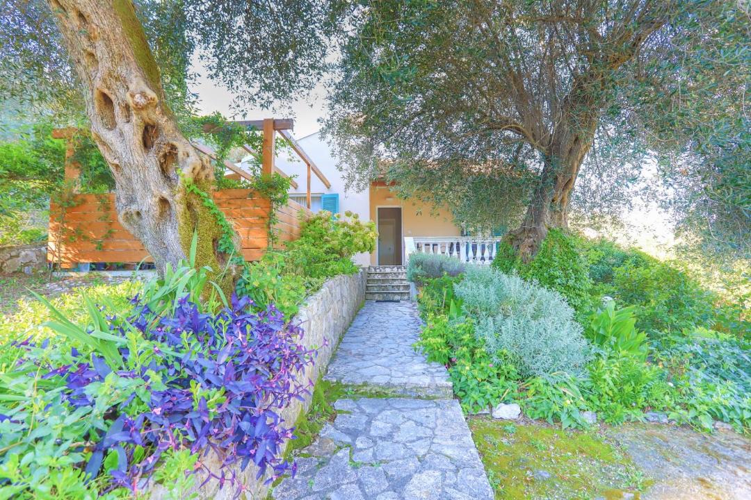 Photo of Others in Agios Spyridon Corfu