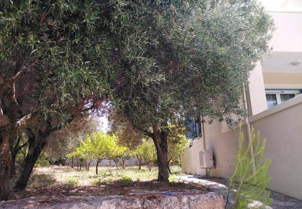 Photo of Others in Menegata