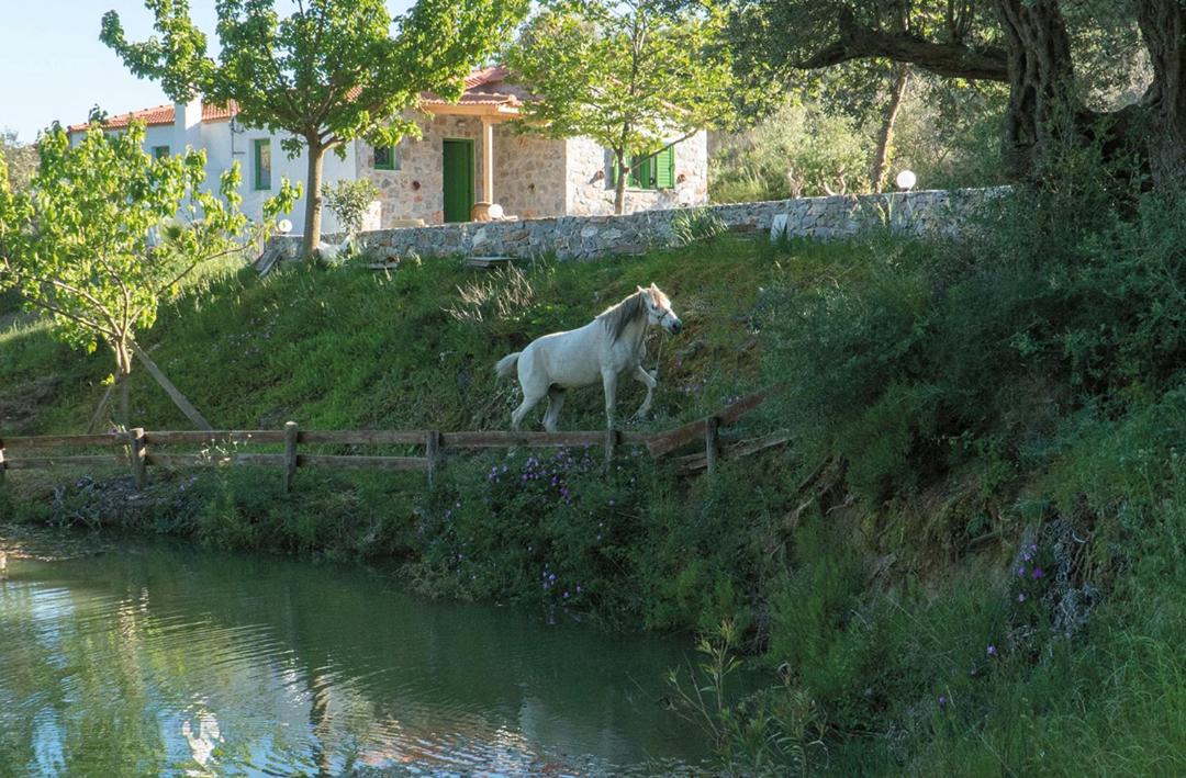Photo of Others in Lampini