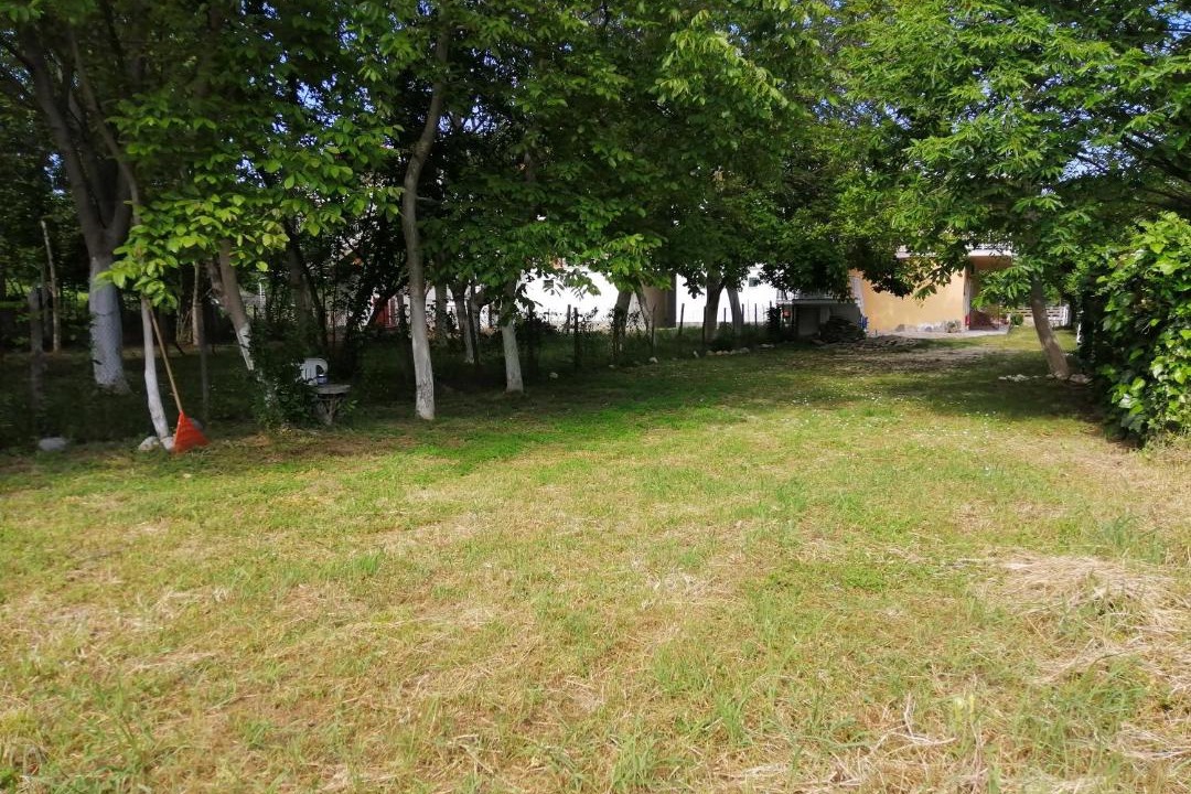 Photo of Others in Paralia Pantaleimonos