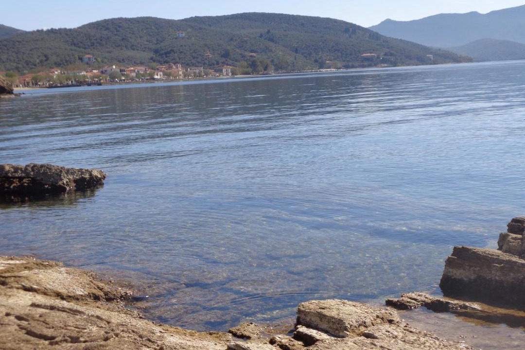 Photo of Others in Milina