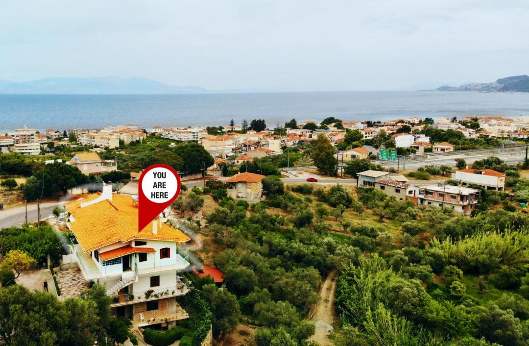 Photo of Others in Paralia Porovitsis