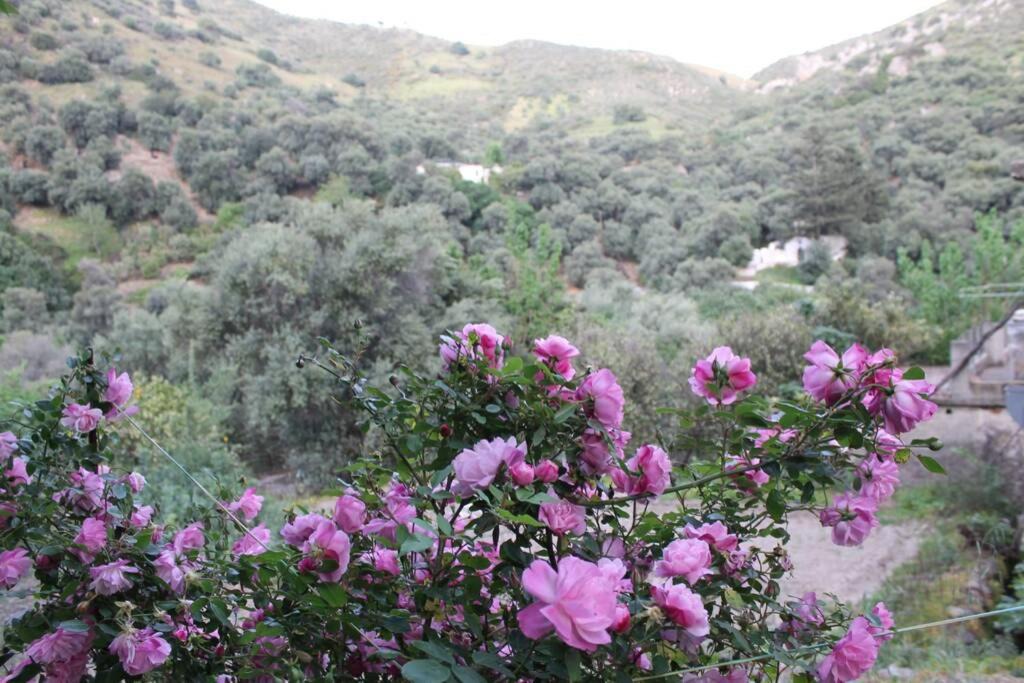 Photo of Outdoor in Kantanos-Selino