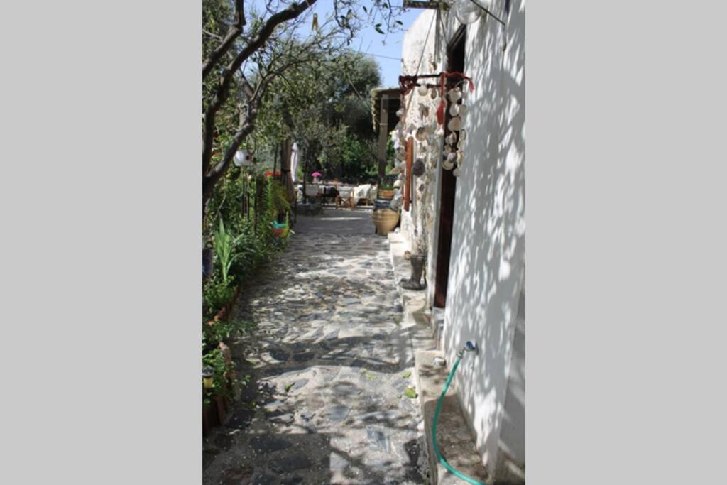 Photo of Others in Kantanos-Selino