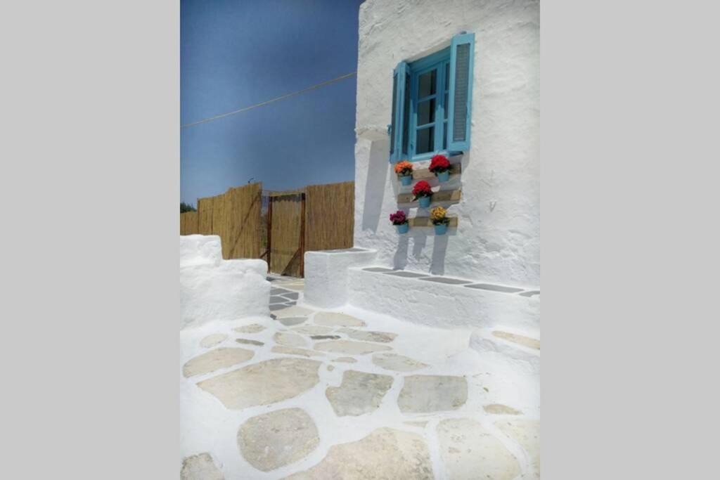 Photo of Others in Paros