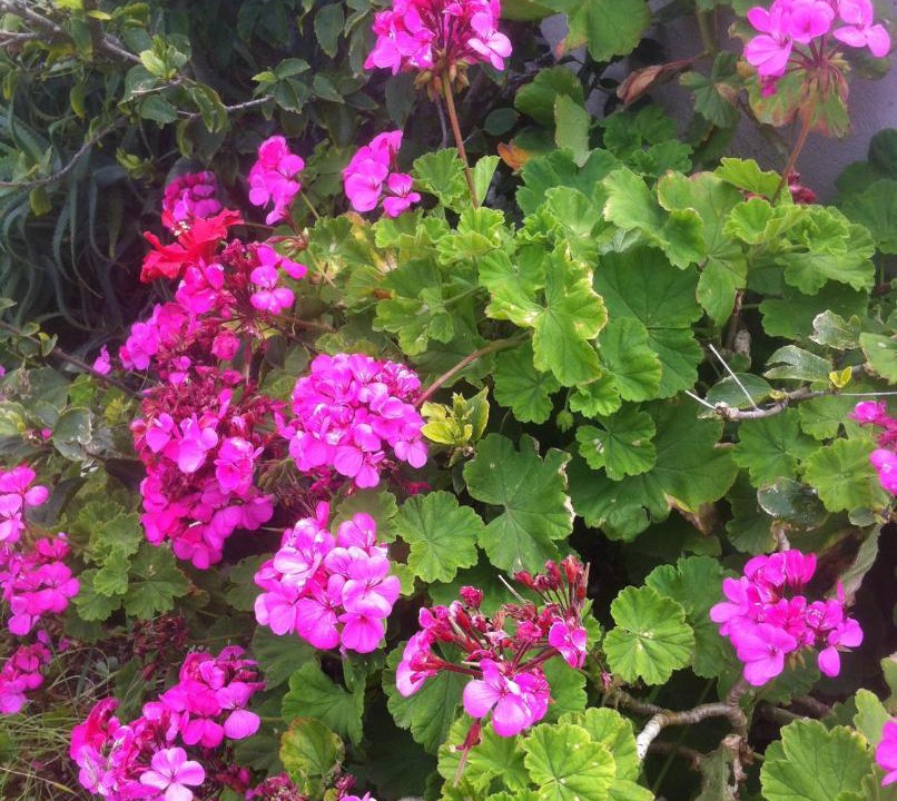 Photo of Outdoor in Sitia