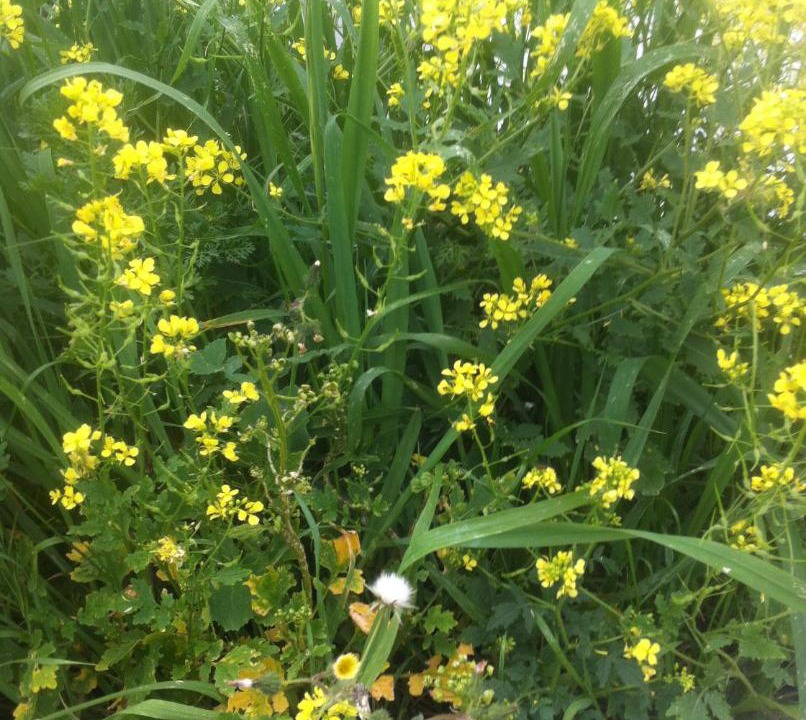 Photo of Outdoor in Sitia