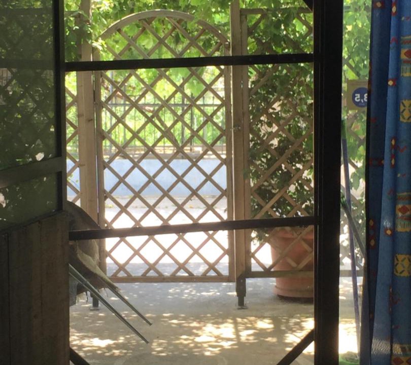 Photo of Others in Chalcis