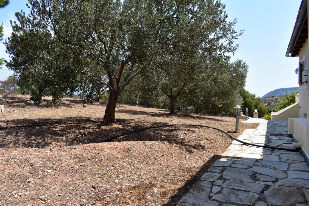 Photo of Others in Ermionida