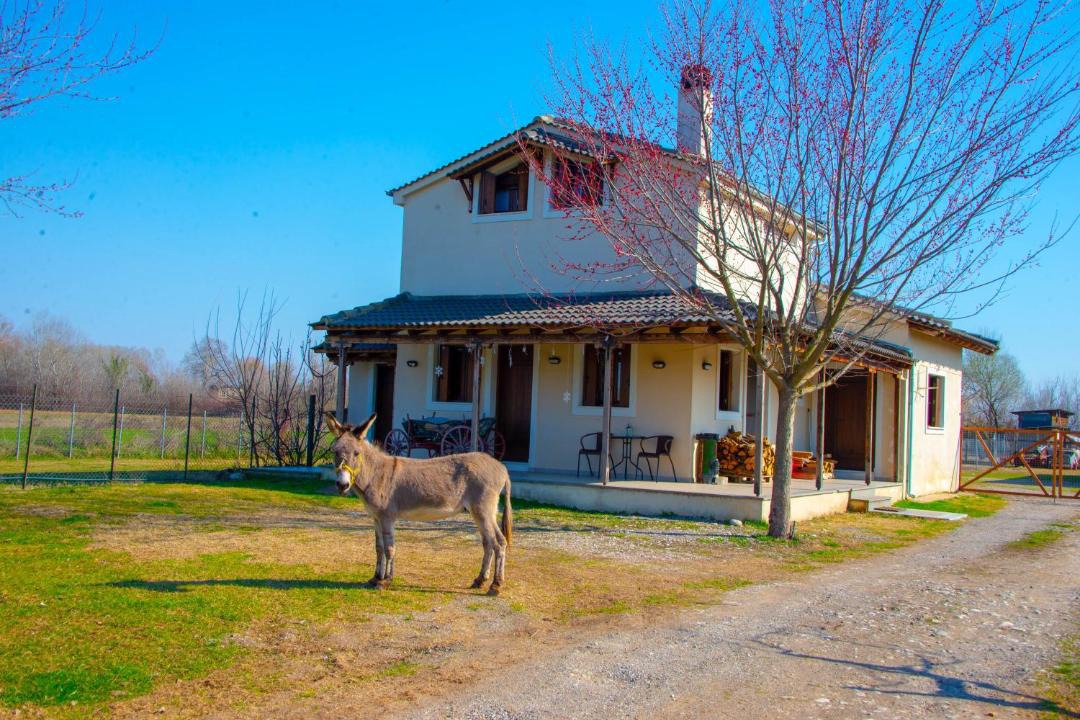 Photo of Others in Mavromati