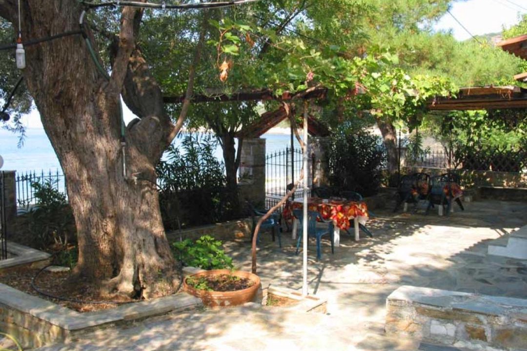 Photo of Others in South Pelion