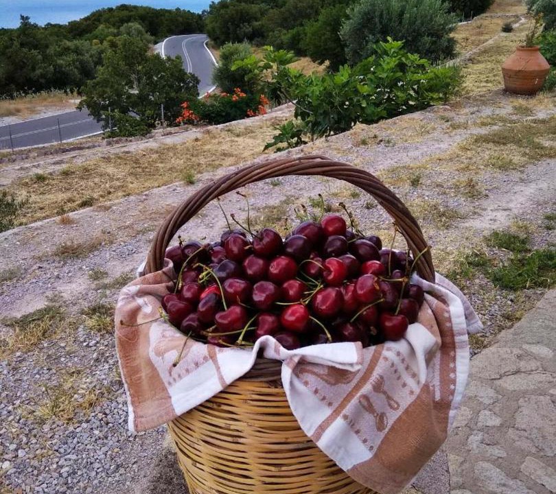 Photo of Others in Skala Sykamineas